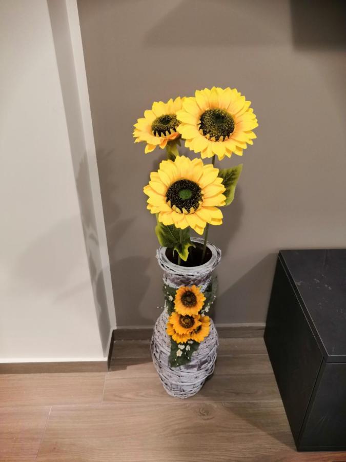 La Casa Dei Girasoli Marsala Luaran gambar